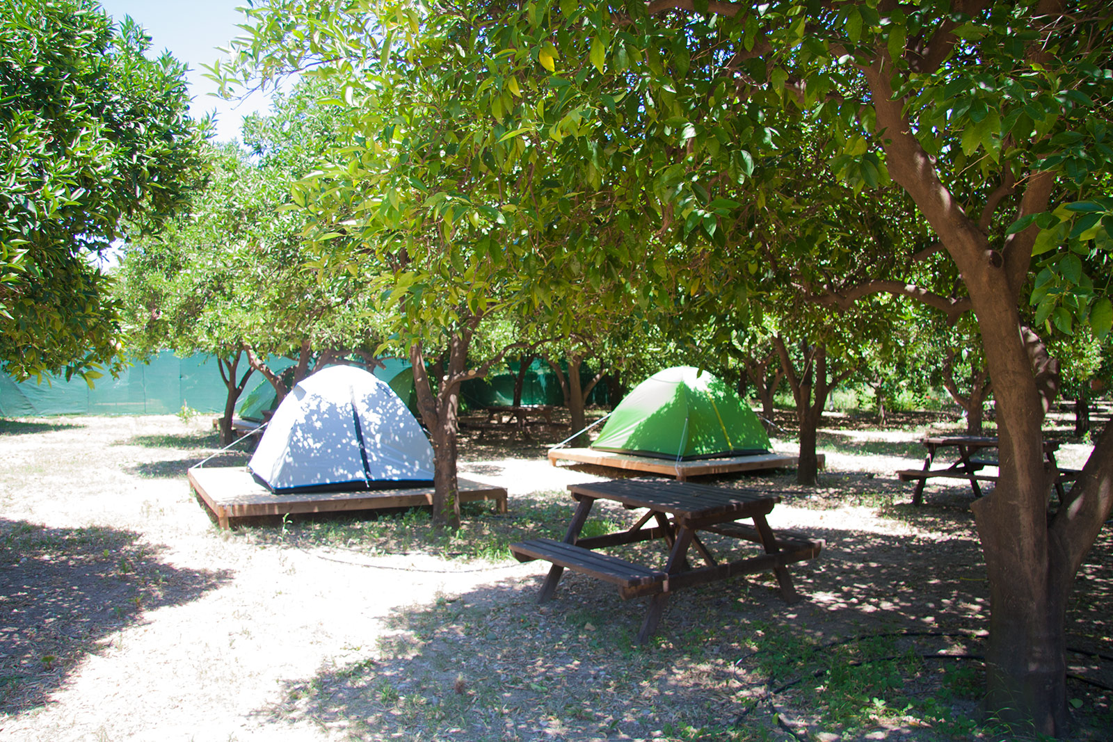 Reyyan Travel Camping