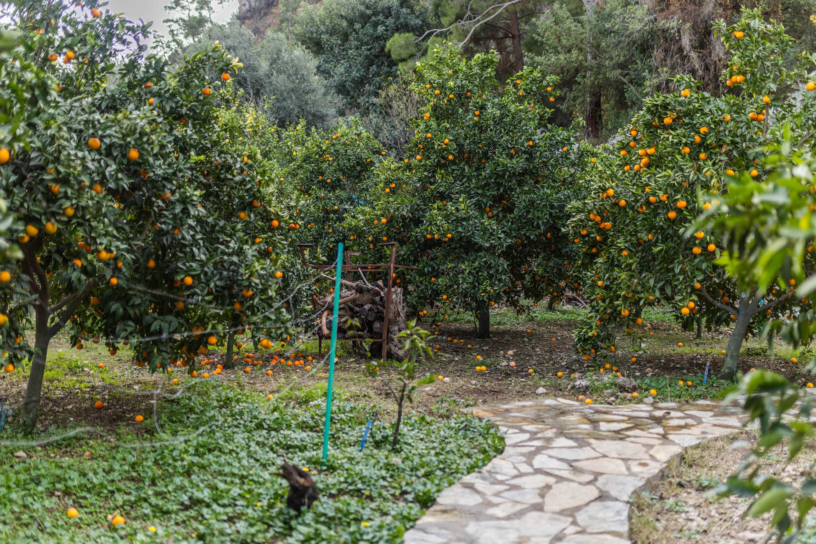 Ferienhaus Dilek